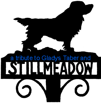 A tribute to Gladys Taber and Stillmeadow